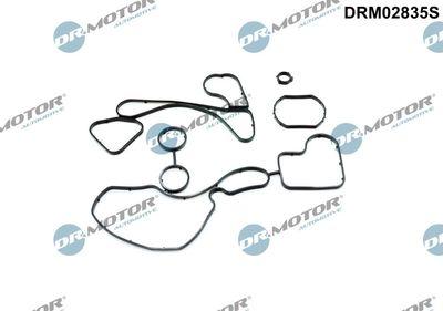 Packning, oljekylare - Packning, oljekylare DR.MOTOR AUTOMOTIVE DRM02835S