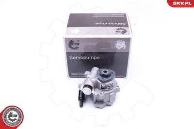 Servostyrningspump - Hydraulikslang, stysrsystem ESEN SKV 10SKV172