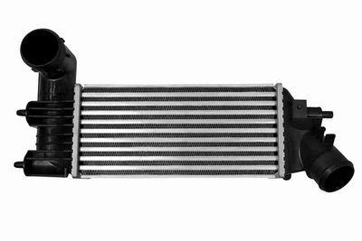 Intercooler - Laddluftkylare VEMO V22-60-0012