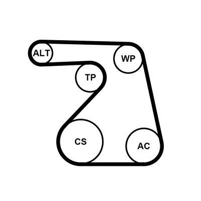 Vattenpump + serpentinremsats - Vattenpump + spårremssats CONTINENTAL CTAM 6PK1217WP1