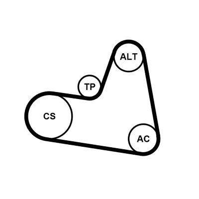 Poly v-remssats - Flerspårsremssats CONTINENTAL CTAM 6PK962K1