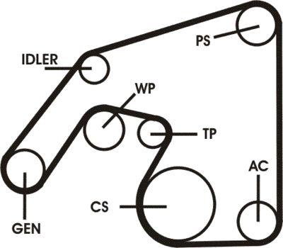 Poly v-remsats - Flerspårsremssats CONTINENTAL CTAM 6PK2271D2