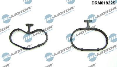 Packning, oljekylare - Packningssats, oljekylare DR.MOTOR AUTOMOTIVE DRM01822S