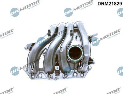 Insugningsgrenrör - Sugrörmodul DR.MOTOR AUTOMOTIVE DRM21829