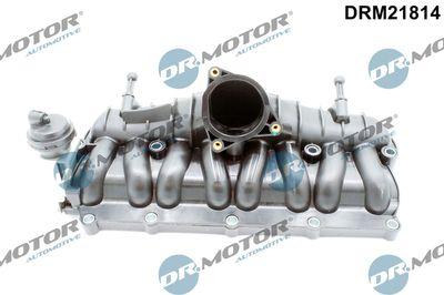 Insugningsgrenrör - Sugrörmodul DR.MOTOR AUTOMOTIVE DRM21814