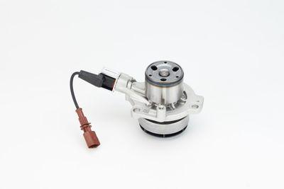 Vattenpump - Vattenpump, motorkylning CONTINENTAL CTAM WP6098