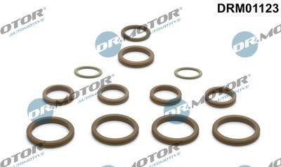 A/C-kompressor - Rep.sats, AC DR.MOTOR AUTOMOTIVE DRM01123