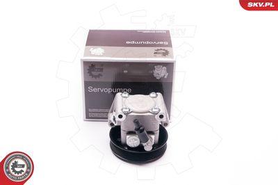 Servostyrningspump - Hydraulikslang, stysrsystem ESEN SKV 10SKV219