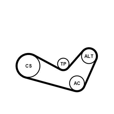 Poly v-remsats - Flerspårsremssats CONTINENTAL CTAM 6PK1080K1