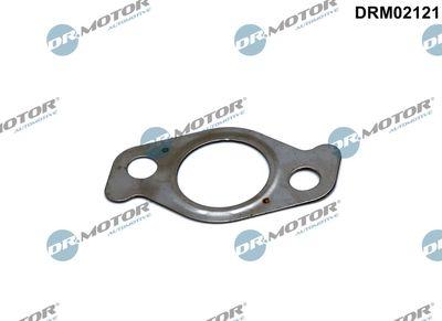 Packning, EGR-ventil - Packning EGR-ventil DR.MOTOR AUTOMOTIVE DRM02121