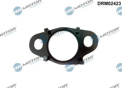 Packning, EGR-ventil - Packning, EGR-ventilledning DR.MOTOR AUTOMOTIVE DRM02423