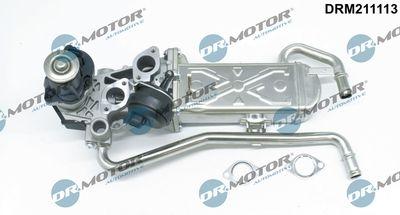 EGR-ventil - Agr-Ventil DR.MOTOR AUTOMOTIVE DRM211113