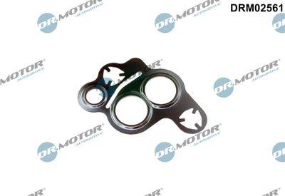 Packning, EGR-ventil - Packning EGR-ventil DR.MOTOR AUTOMOTIVE DRM02561