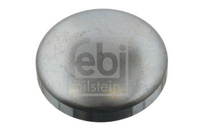 Frostplugg - Frostplugg FEBI BILSTEIN 31794