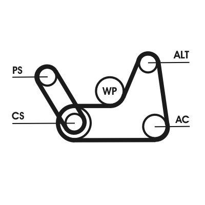 Poly v-remsats - Flerspårsremssats CONTINENTAL CTAM 6PK1019 ELAST T1