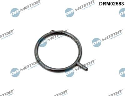 Sensor, motorolja nivå - Ringtätning, motoroljenivåsensor DR.MOTOR AUTOMOTIVE DRM02583