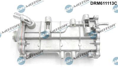 EGR-kylare - Kylare, avgasåterföring DR.MOTOR AUTOMOTIVE DRM611113C