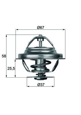 Termostat - Termostat, kylmedel MAHLE TX 20 80D