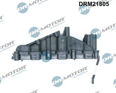 Insugningsgrenrör - Sugrörmodul DR.MOTOR AUTOMOTIVE DRM21805