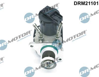 EGR-ventil - Agr-Ventil DR.MOTOR AUTOMOTIVE DRM21101