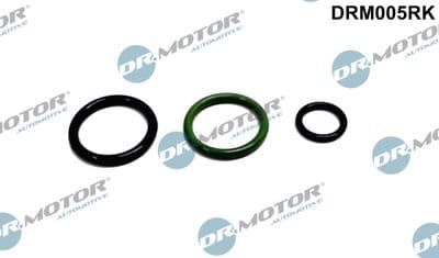 Repsats, insprutningsmunstycke - Reparationssats, pump-/ munstycksenhet DR.MOTOR AUTOMOTIVE DRM005RK