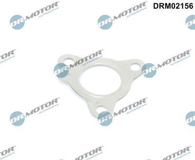 Packning, turboladdare - Packning, laddare DR.MOTOR AUTOMOTIVE DRM02156