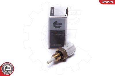 Insugningslufttemperatursensor - Sensor, insugslufttemperatur ESEN SKV 17SKV688