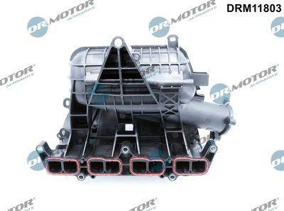 Insugningsgrenrör - Sugrörmodul DR.MOTOR AUTOMOTIVE DRM11803