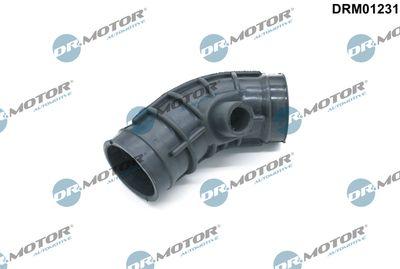 Insugsrör, luftfilter - Insug, luftfilter DR.MOTOR AUTOMOTIVE DRM01231