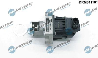 EGR-ventil - Agr-Ventil DR.MOTOR AUTOMOTIVE DRM611101