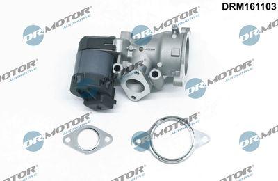 EGR-ventil - Agr-Ventil DR.MOTOR AUTOMOTIVE DRM161103