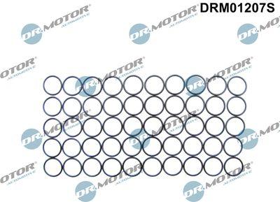 Tätningar för insprutare - Packning, spridarhållare DR.MOTOR AUTOMOTIVE DRM01207S