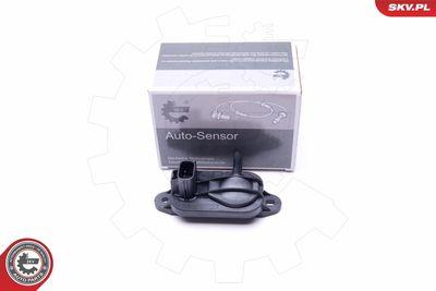 Avgasttryckgivare - Sensor, avgastryck ESEN SKV 17SKV328