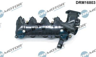 Insugningsgrenrör - Sugrörmodul DR.MOTOR AUTOMOTIVE DRM16803