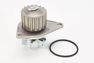 Vattenpump - Vattenpump, motorkylning CONTINENTAL CTAM WP6088