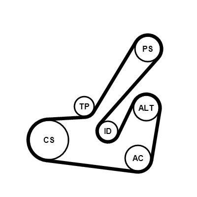 Poly v-remsats - Flerspårsremssats CONTINENTAL CTAM 6PK1145K2