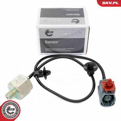 Knacksensor - Knackningssensor ESEN SKV 17SKV849