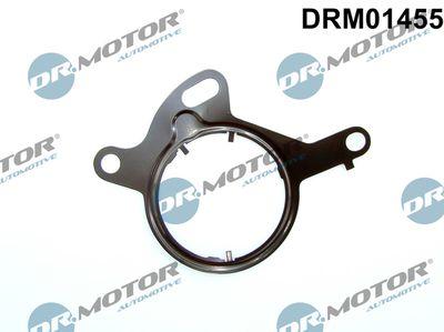 Bromsvakuumpumpar - Packning, vakuumpump DR.MOTOR AUTOMOTIVE DRM01455