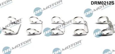 Packning, bränsleledning - Packning, bränsleledning DR.MOTOR AUTOMOTIVE DRM0212S